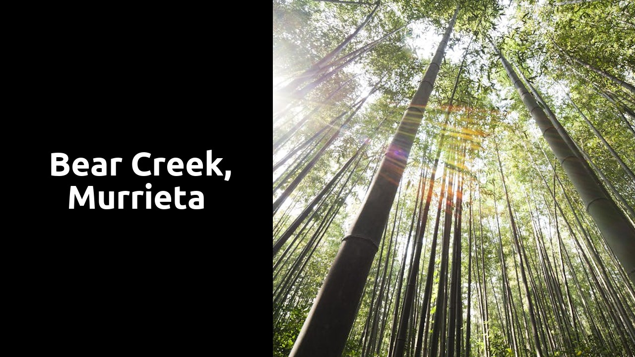 Things to do and places to visit in Bear Creek, Murrieta